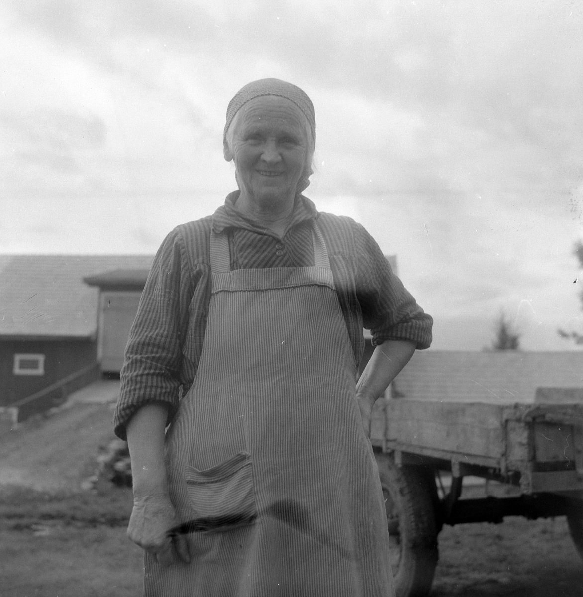 Adolf Skjegstad, ASK-03537