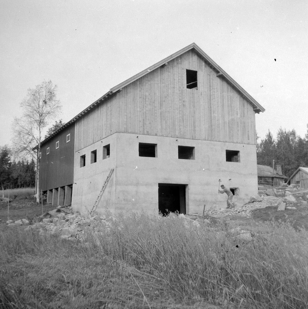 Adolf Skjegstad, ASK-03543