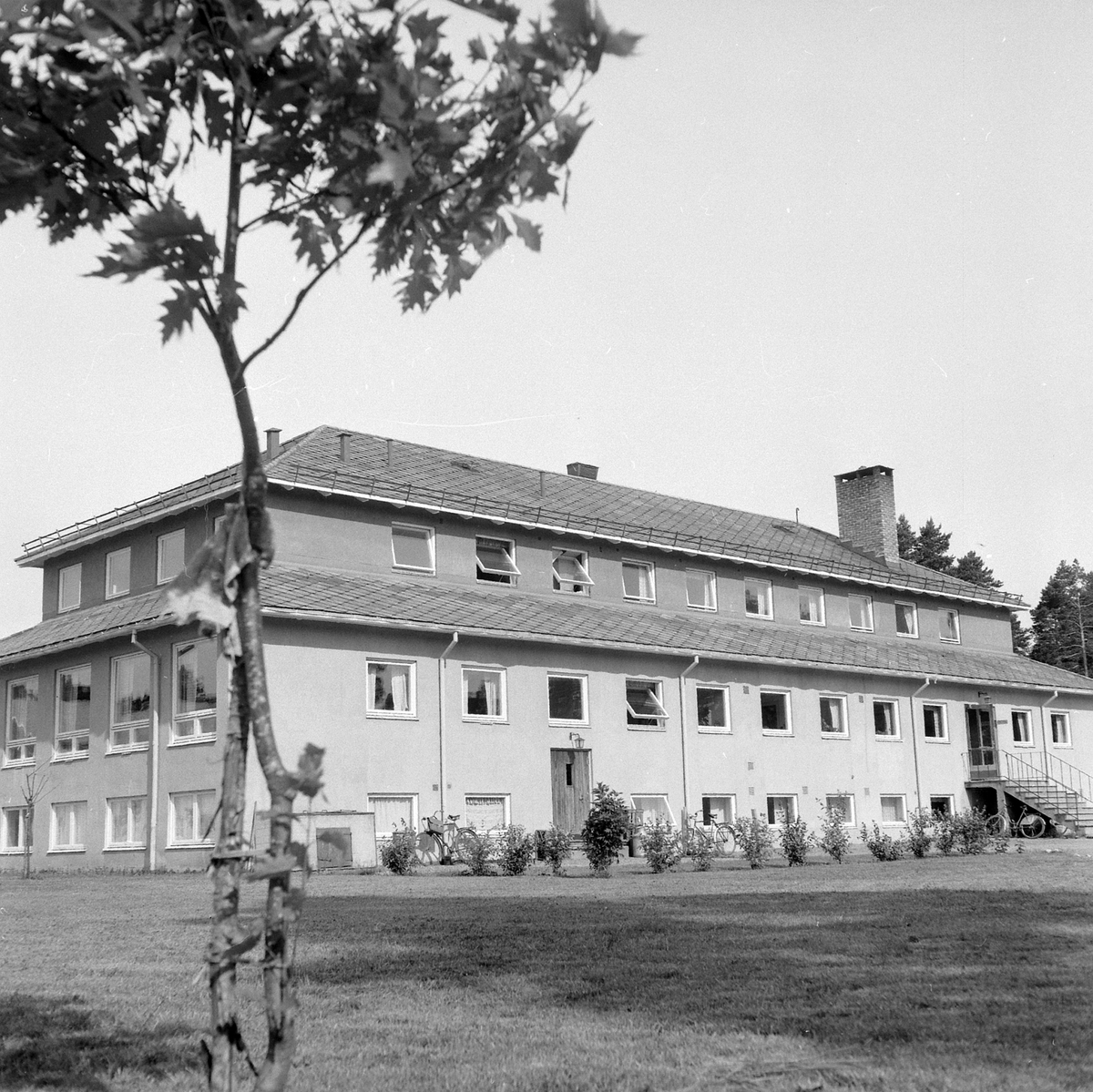Adolf Skjegstad, ASK-03558