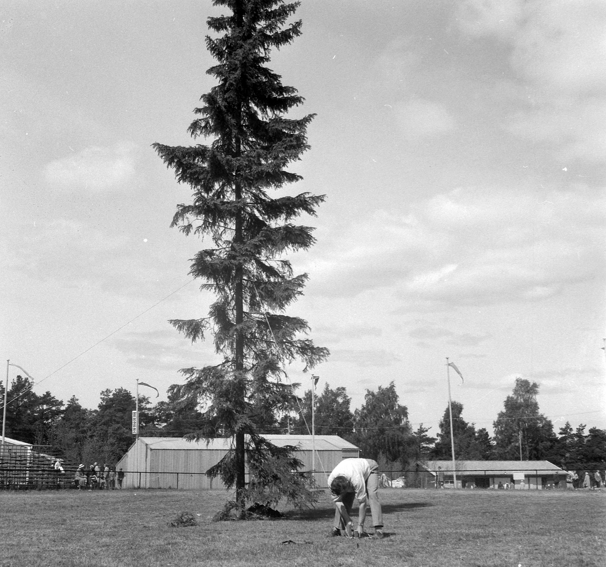 Adolf Skjegstad, ASK-03591
