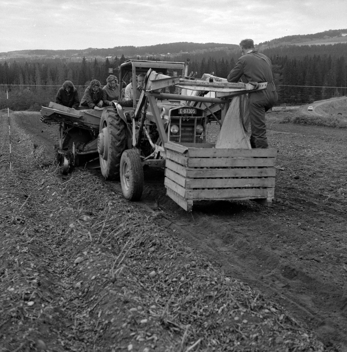 Adolf Skjegstad, ASK-03662