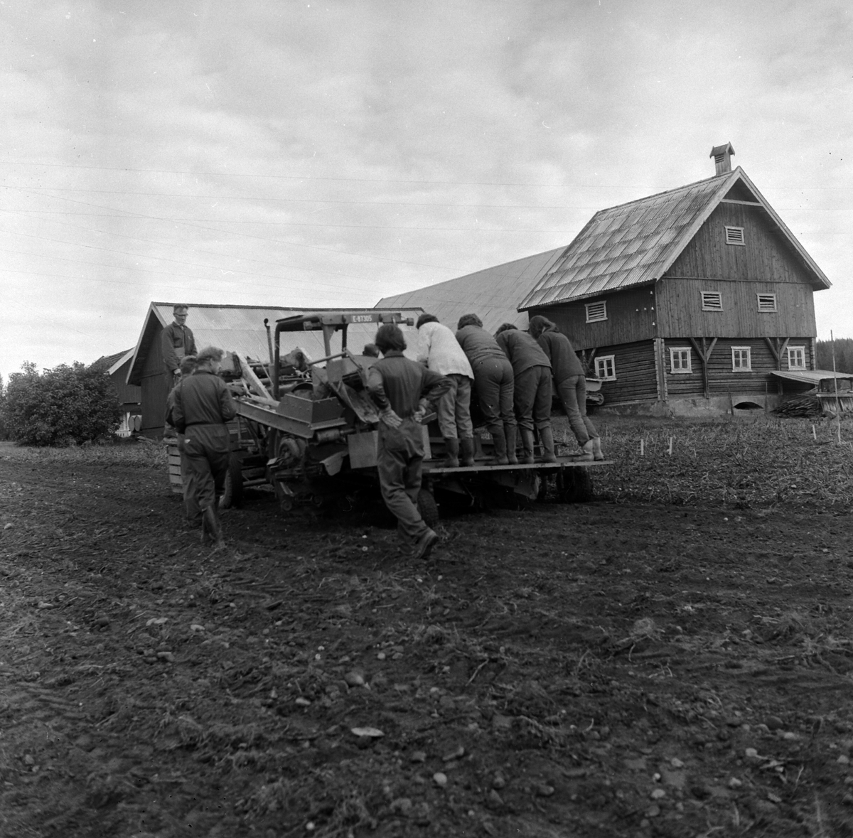 Adolf Skjegstad, ASK-03666