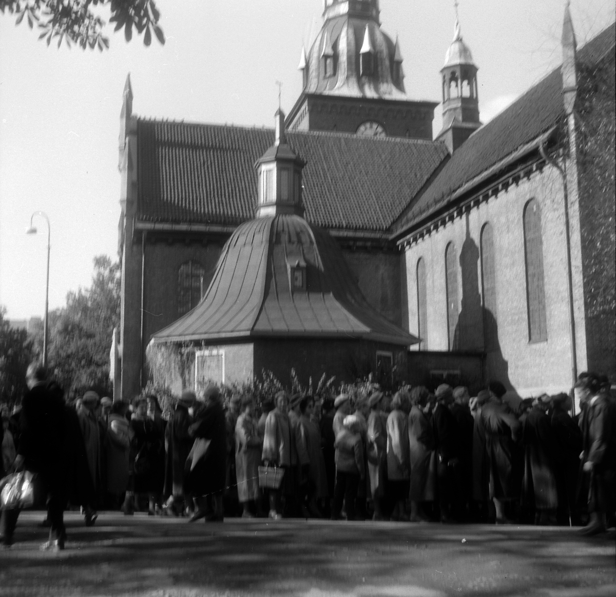 Adolf Skjegstad, ASK-03677