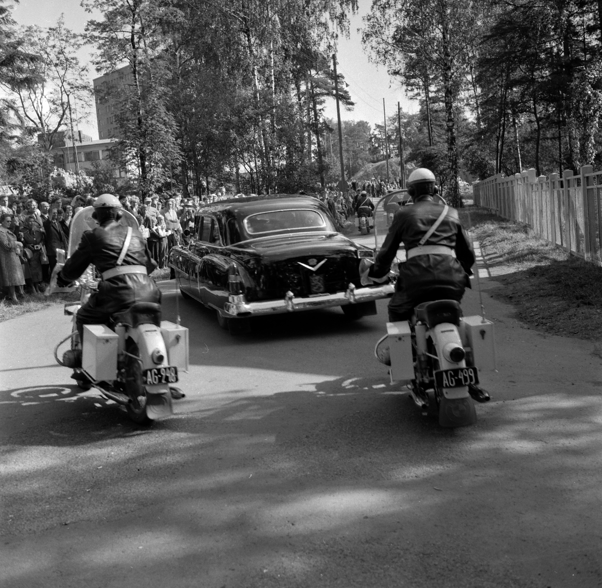 Adolf Skjegstad, ASK-03682