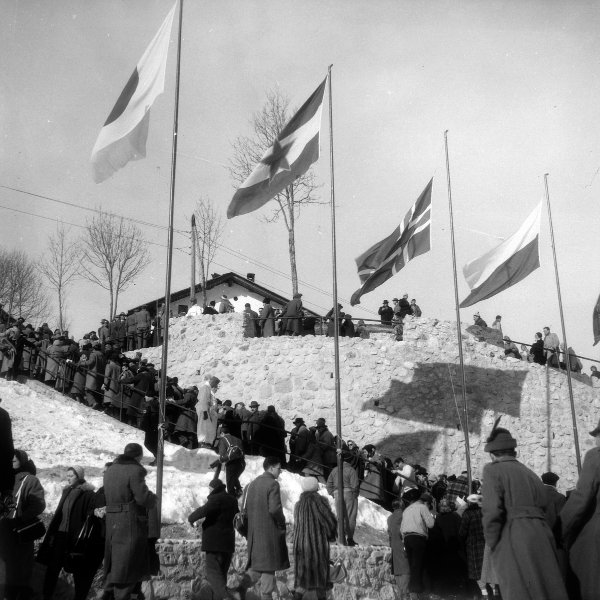 Adolf Skjegstad, ASK-03735