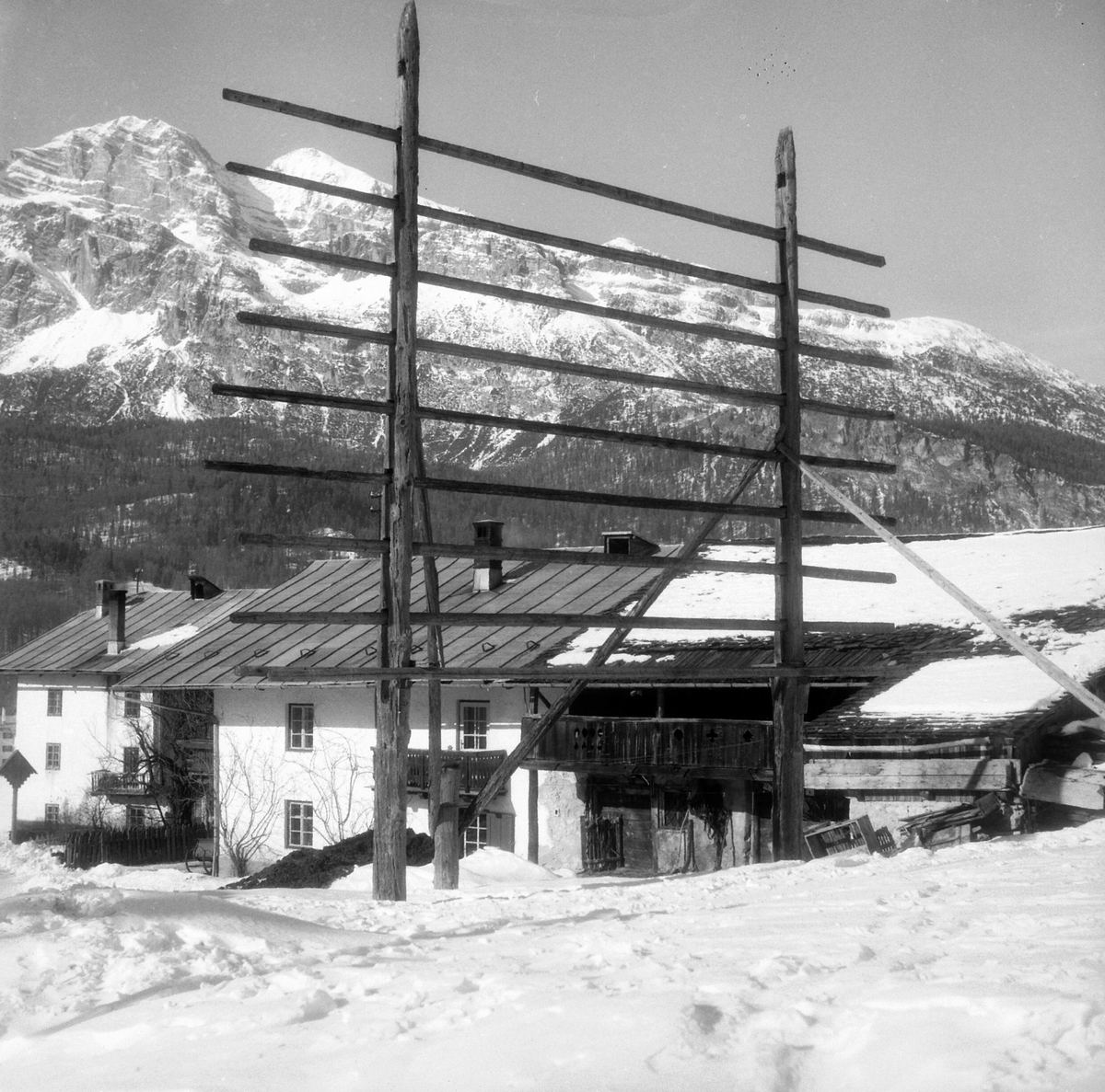Adolf Skjegstad, ASK-03741