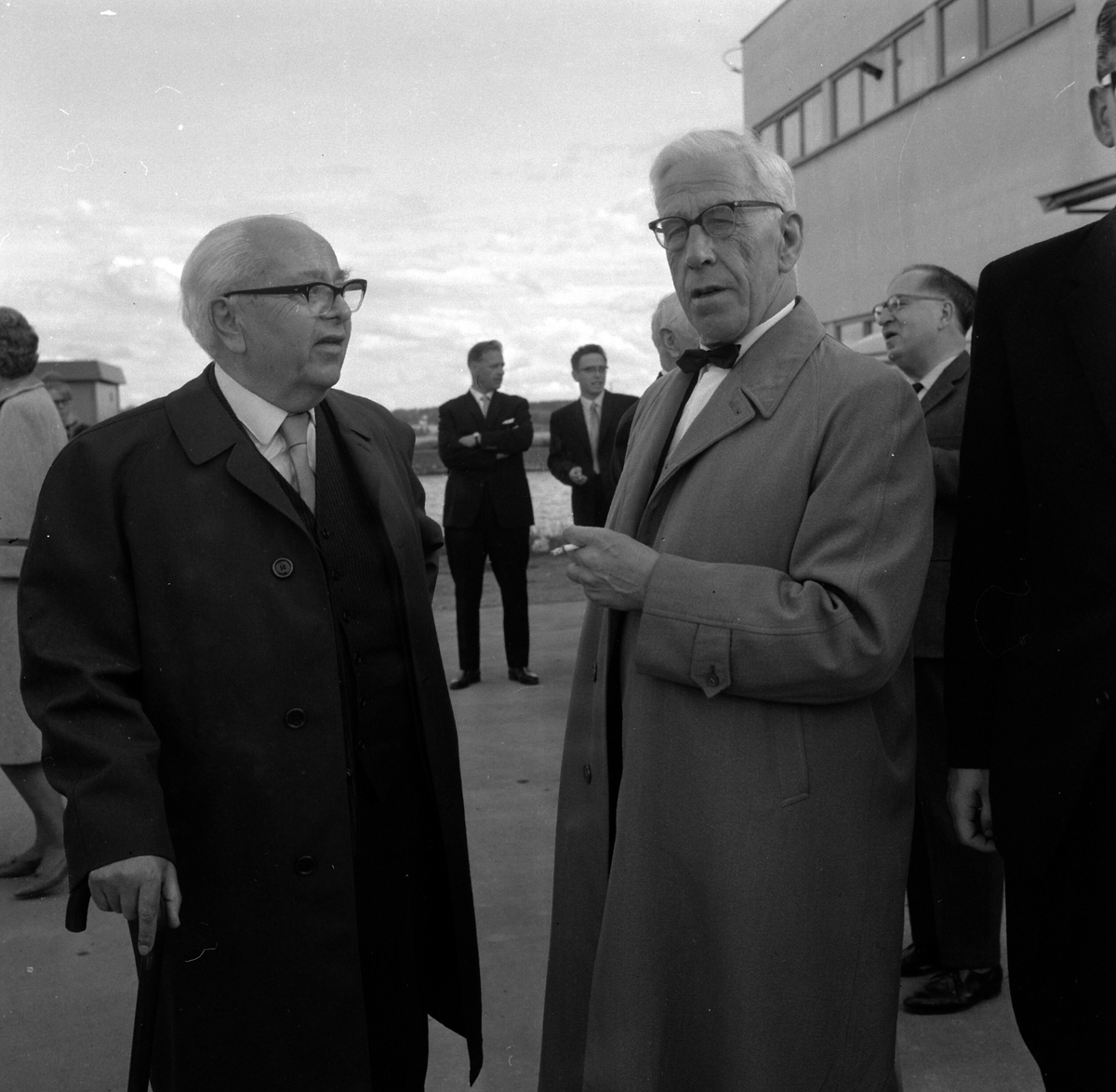 Adolf Skjegstad, ASK-03835