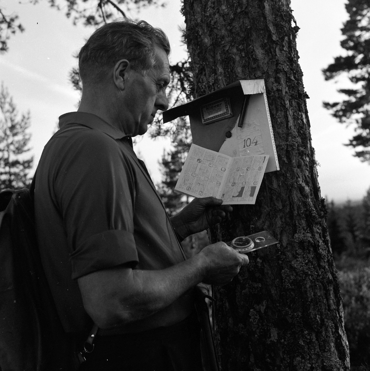 Adolf Skjegstad, ASK-03881