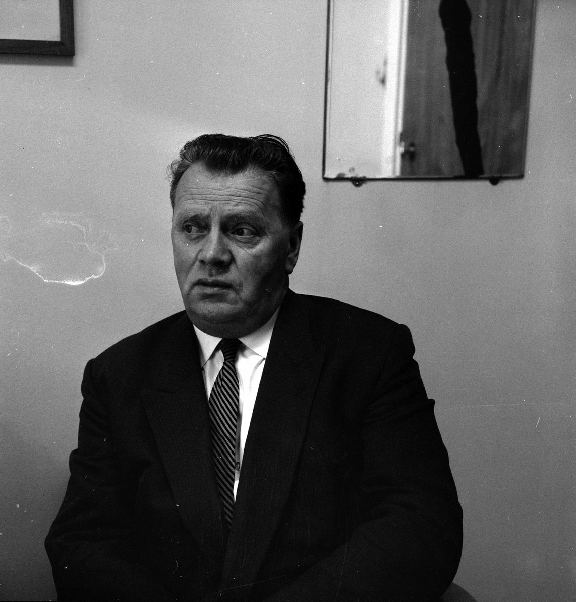 Adolf Skjegstad, Adolf Skjegstad