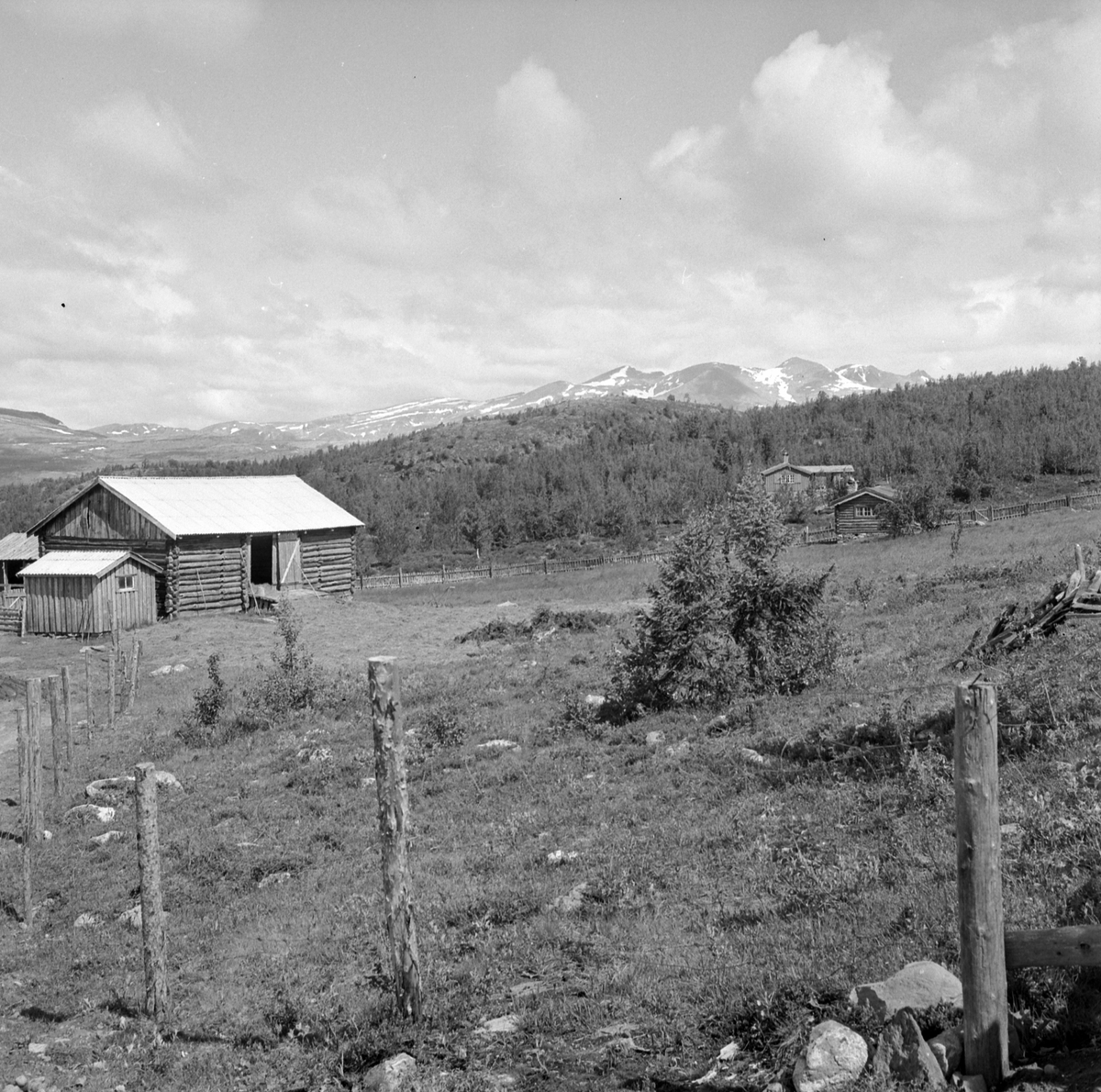 Adolf Skjegstad, ASK-04211