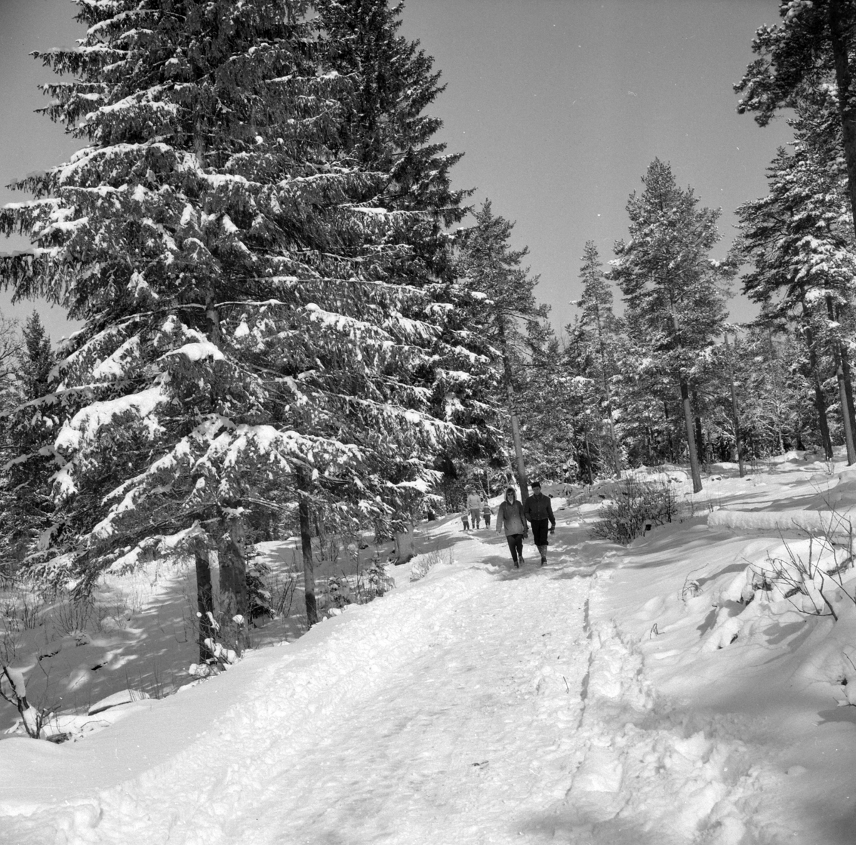 Adolf Skjegstad, ASK-04313