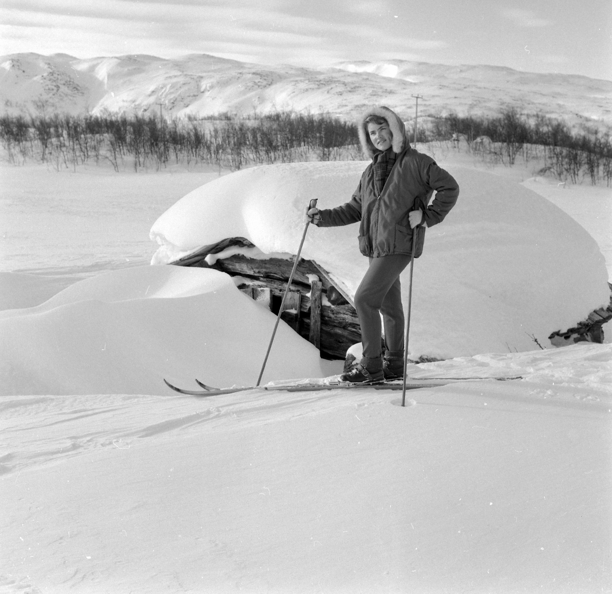 Adolf Skjegstad, ASK-04382