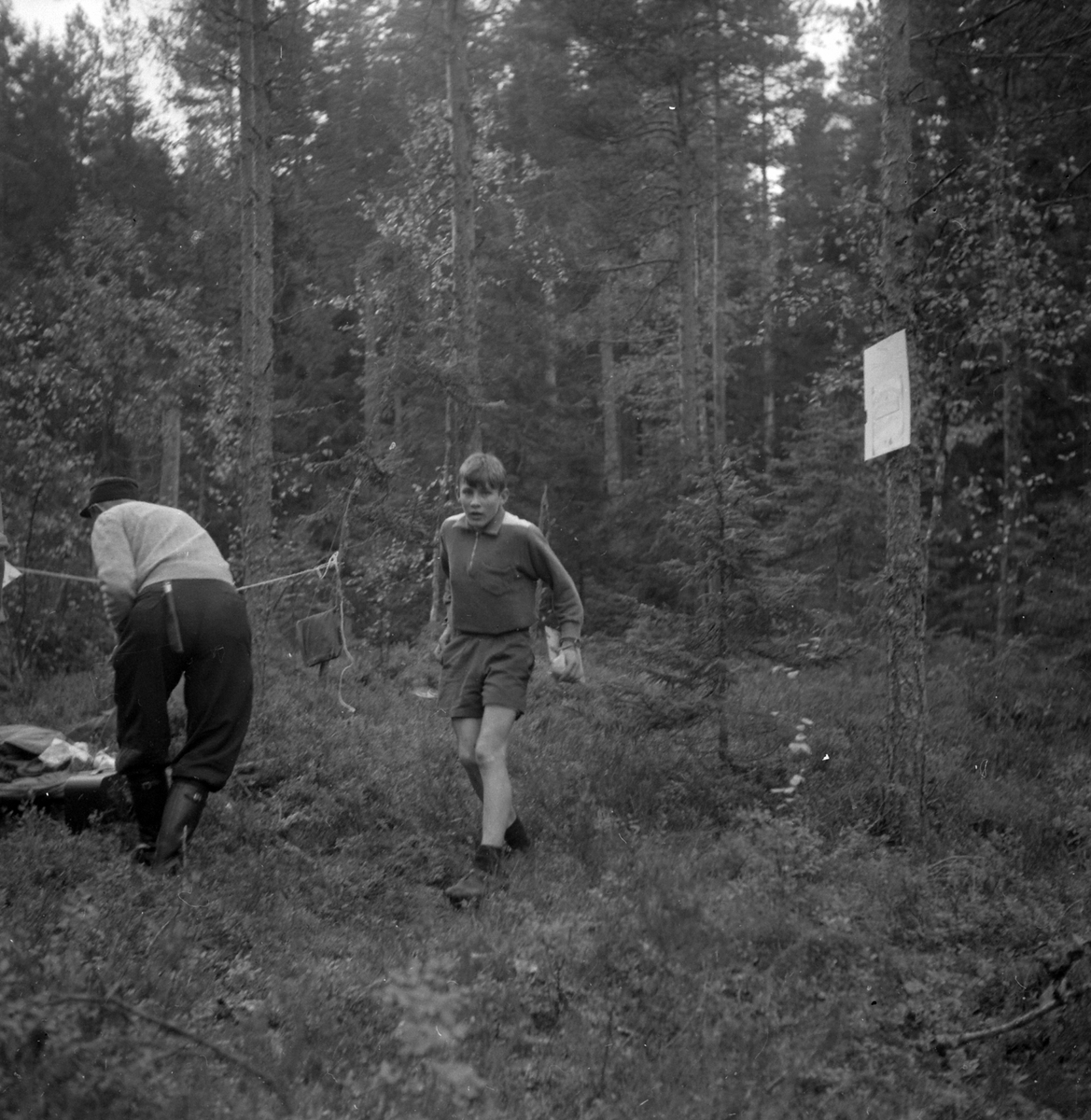 Adolf Skjegstad, ASK-04427