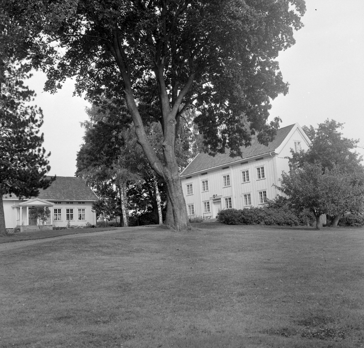 Adolf Skjegstad, ASK-04563