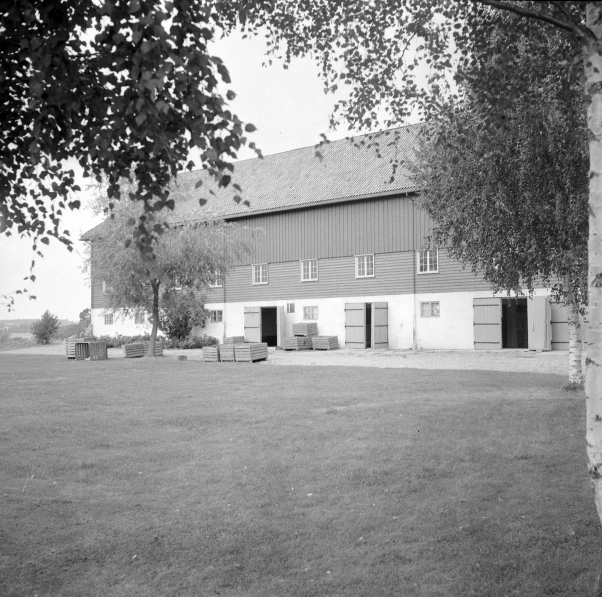 Adolf Skjegstad, ASK-04565
