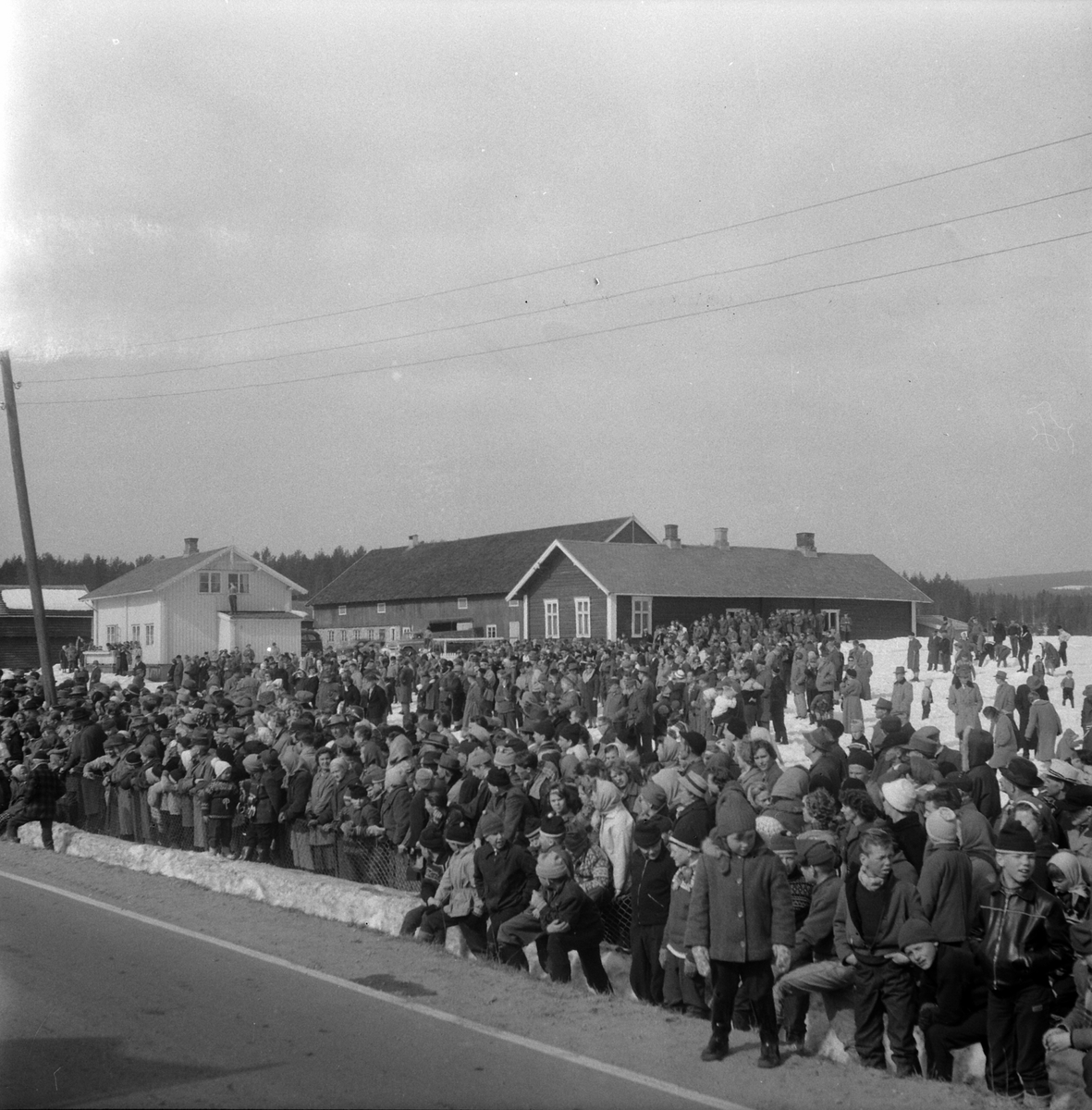Adolf Skjegstad, ASK-04855