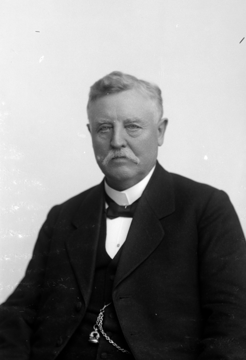 Christian Grundseth, BØRKE GULLSMED, HALVFIG. , 25292