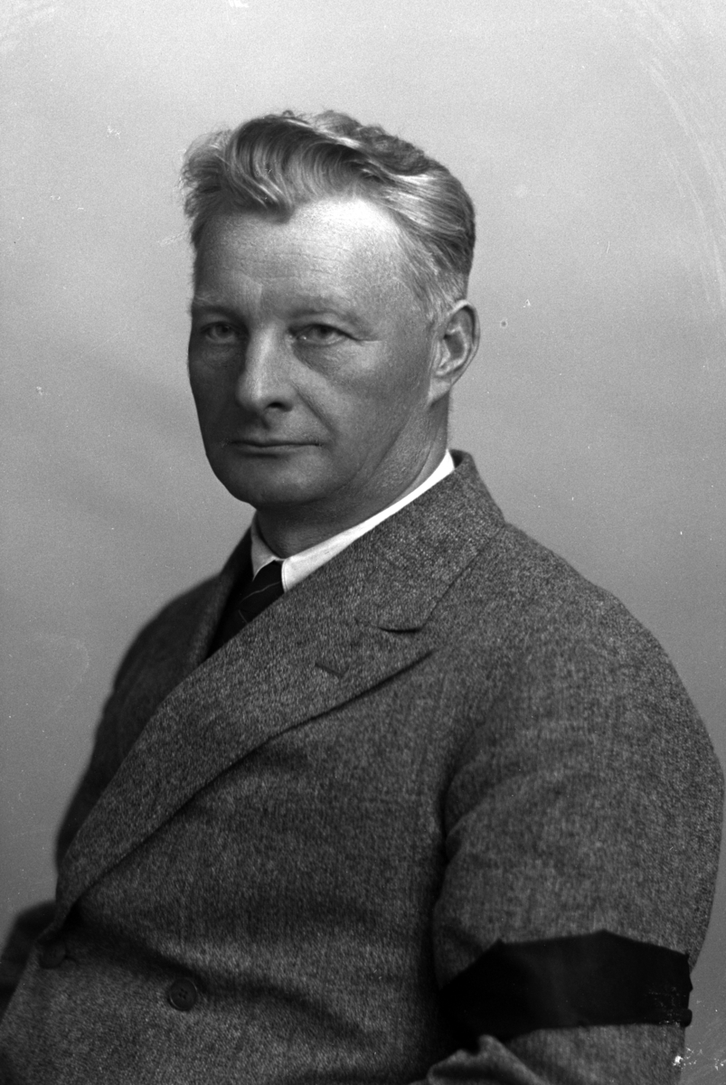 Christian Grundseth, DALSENG DYRLEGE, HALVFIG. , 34645