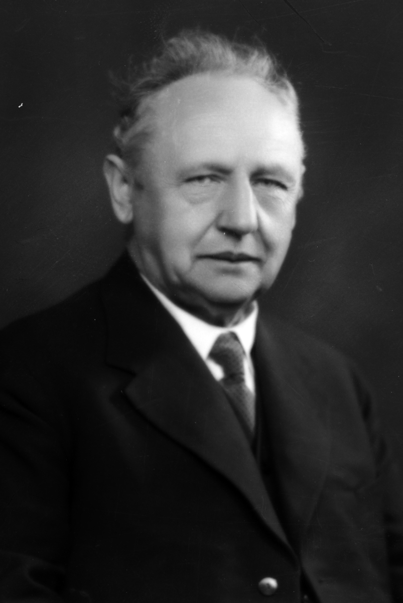 Christian Grundseth, Sorenskriver, Harald Severin Wiesener (1921–1938), portrett. Sør-Hedmark Sorenskriveri.