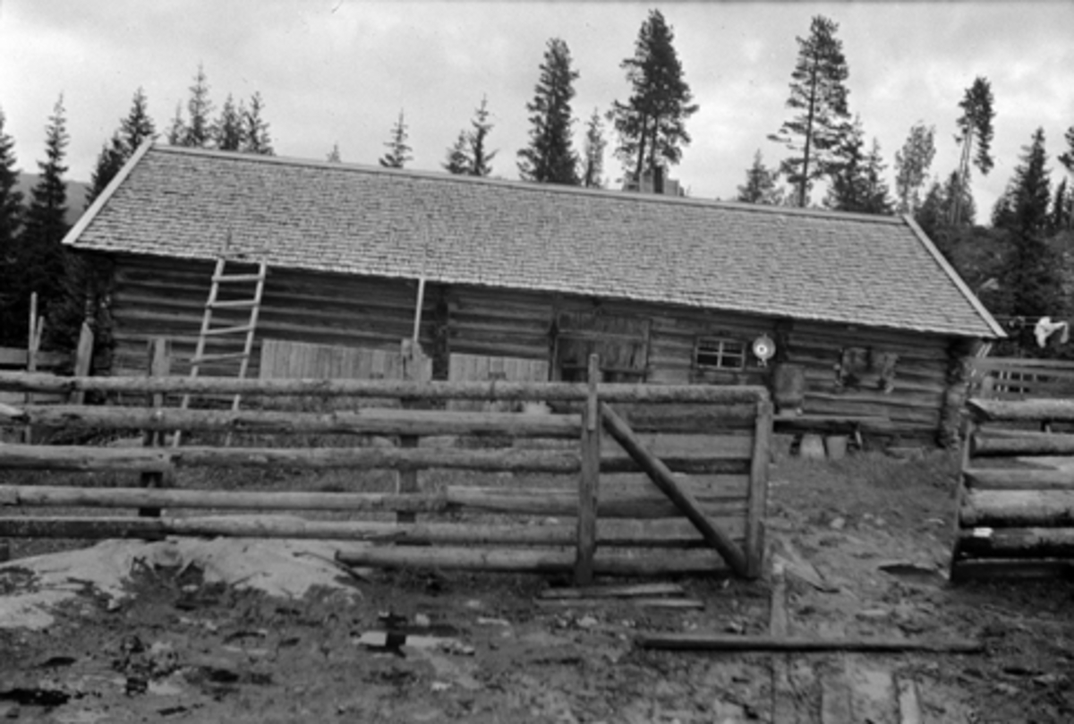 Toralv Bleken-Nilssen, GALGUM. SETER. ROMEDAL ALLM, Stange. STØRHUS.
