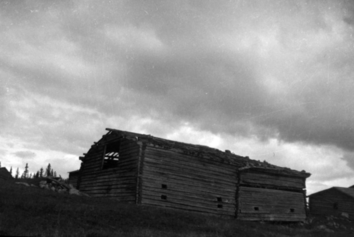 Toralv Bleken-Nilssen, BJØNNÅSEN, Bjørnåsen. JEVANOL. FJØSLØVE. SETER. FURNES ALLM, Ringsaker.