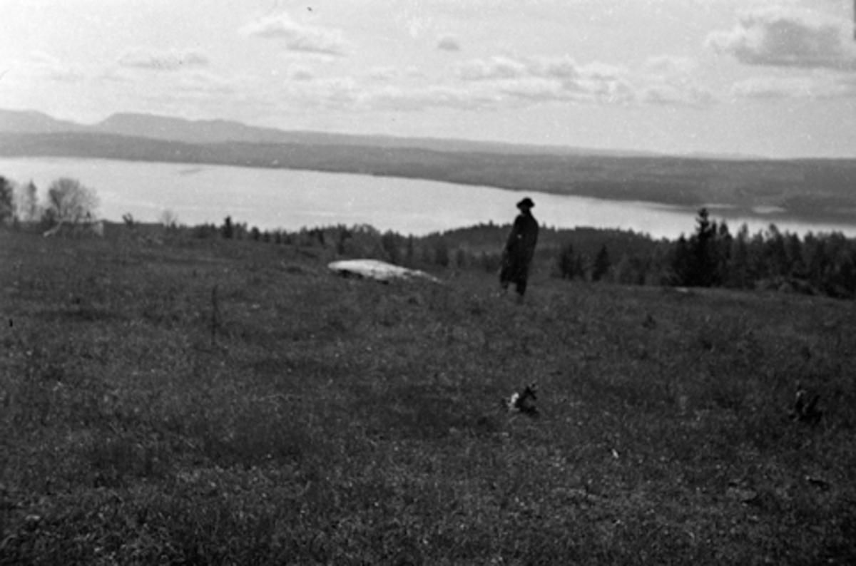 Toralv Bleken-Nilssen, Aske nordre, Nes, Hedmark. Askehagen. Stein. Helleristninger.