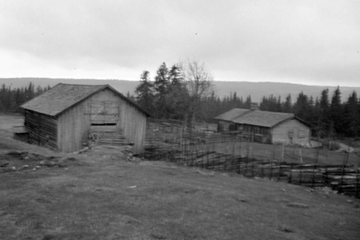 Toralv Bleken-Nilssen, BJØNNÅSEN, Bjørnåsen. HALSETSETRA. FURNES ALLM. Ringsaker, FB2. 103, FJØSLÅVE.