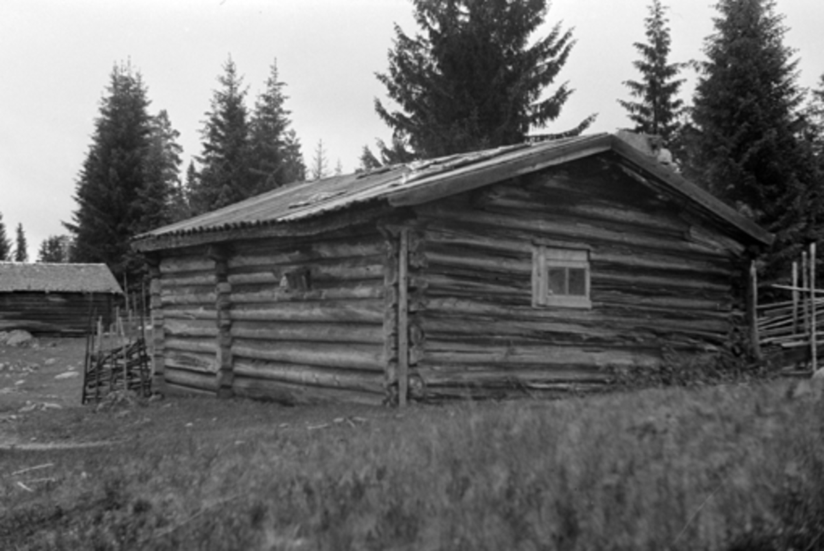 Toralv Bleken-Nilssen, MÆLUMSETRA. LILLESETRA. ROMEDAL ALLM, Stange. STØRHUS. Fjøs.