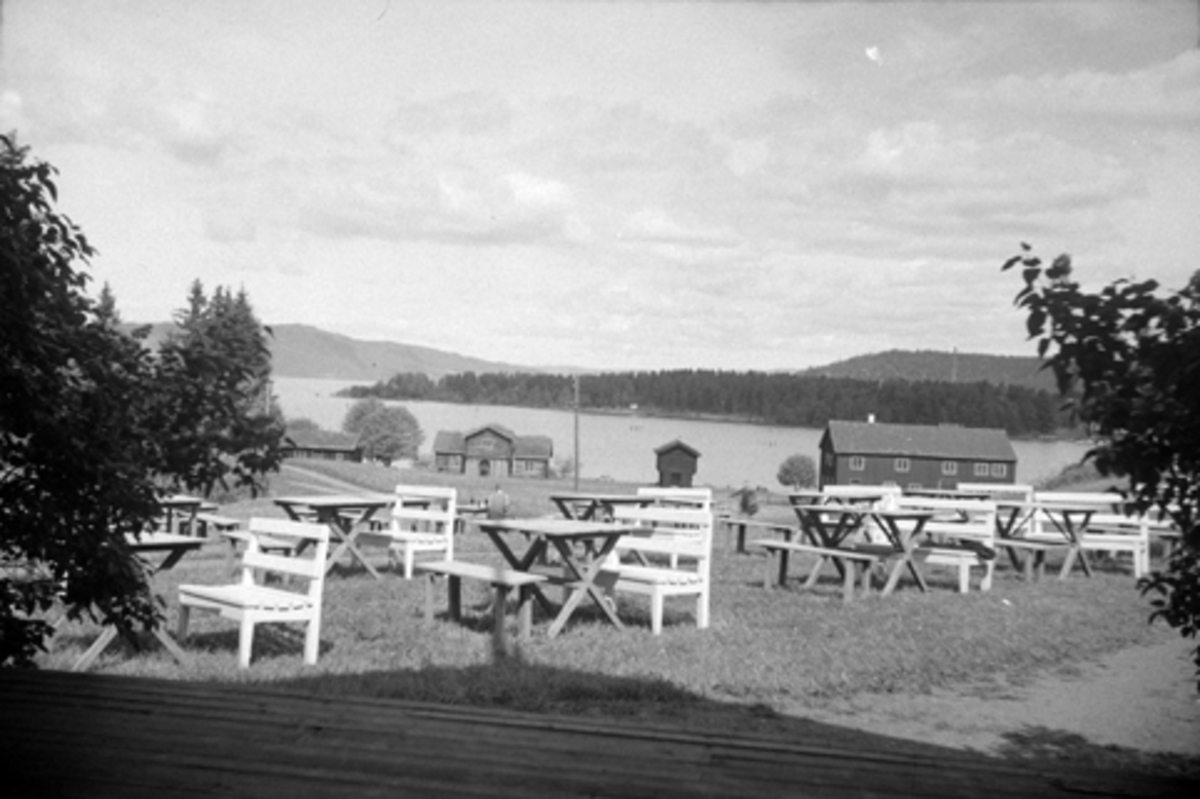 Toralv Bleken-Nilssen, RESTAURANT. HDH. 80. BORD. KRAKKER. UTE. Hedmarksmuseet, Martodden. Domkirkeodden. Løtenbygningen. Rosenlundvika.