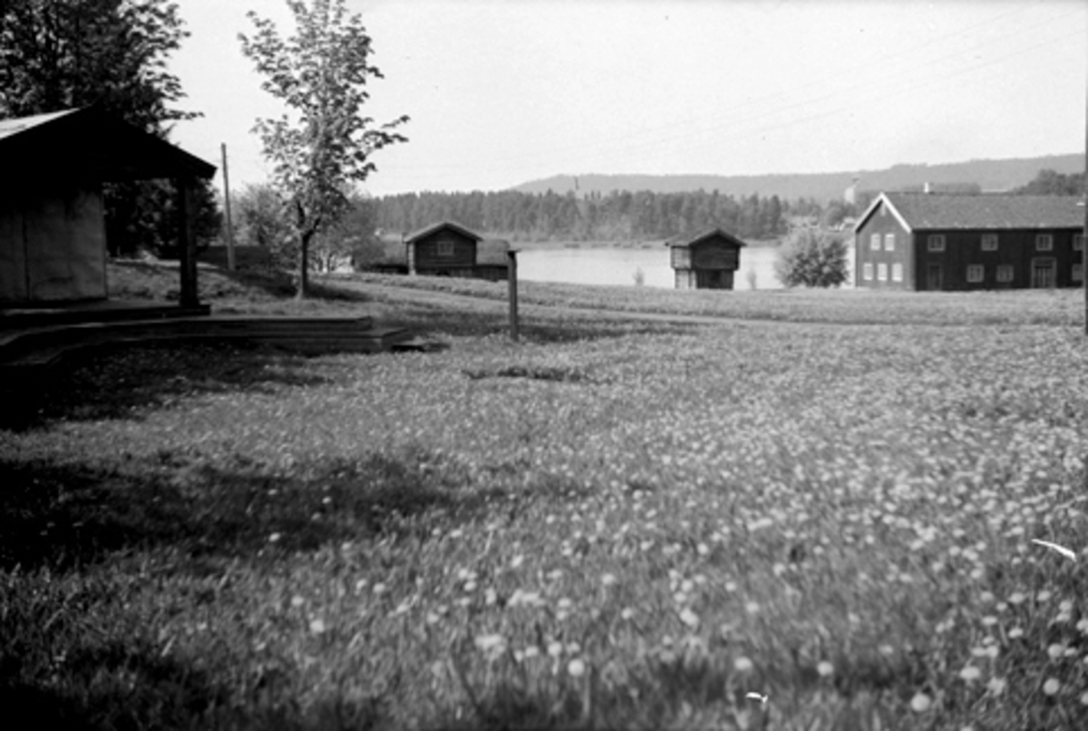 Toralv Bleken-Nilssen, HEDMARKSMUSEET. HDH. 104. BARFRØBYGNINGEN. LØTENBYGNINGEN. DOMKIRKEODDEN.