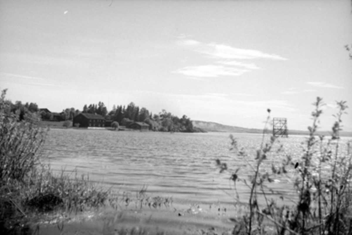 Toralv Bleken-Nilssen, ROSENLUNVIKA. HDH. 103.