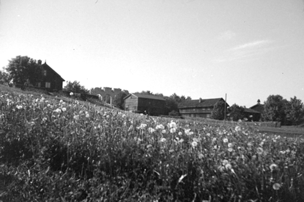 Anno Domkirkeodden, HH. KAFE, RUIN, SKØIEN, BOLSTADTIDL. 1001, HDH. 80, HKR. 200, HDH. 11, HDH. 12, HEDMARKSMUSEET.