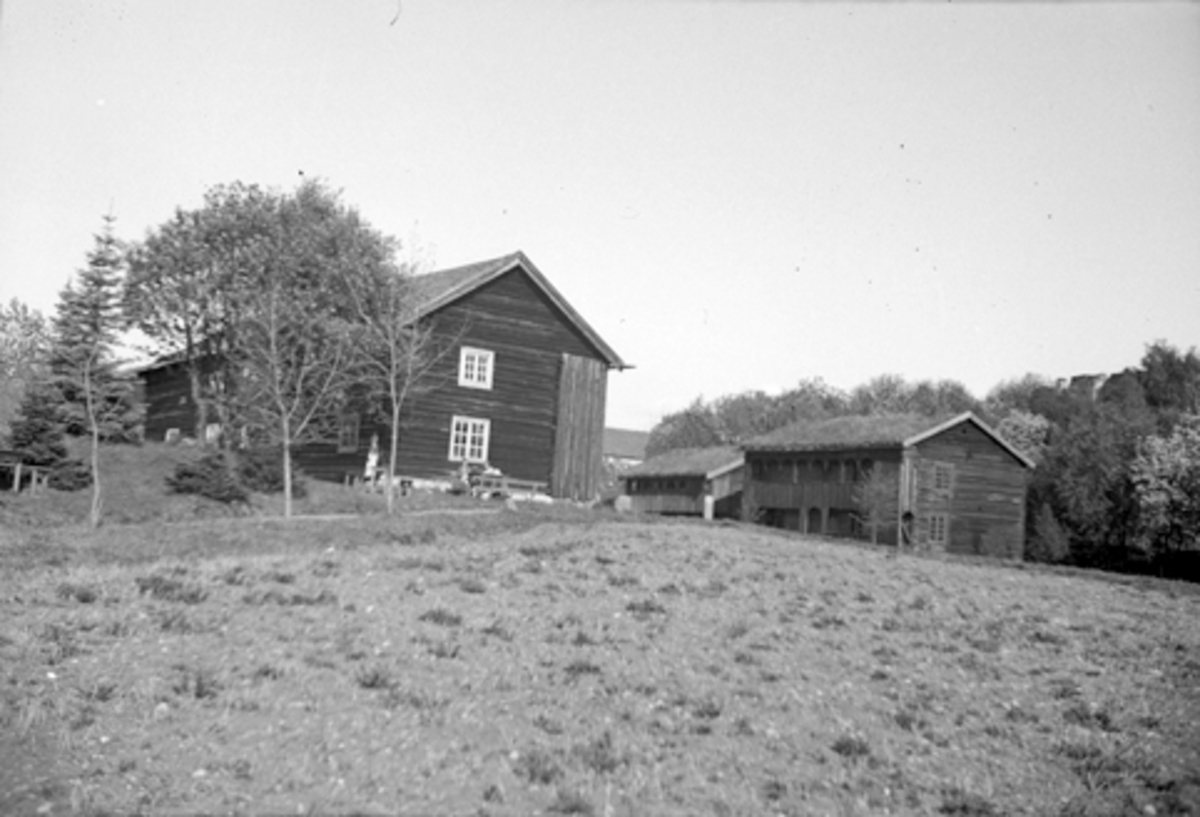 Anno Domkirkeodden, Hedemarkstunet på Domkirkeodden. Grimsrud, Hubred.