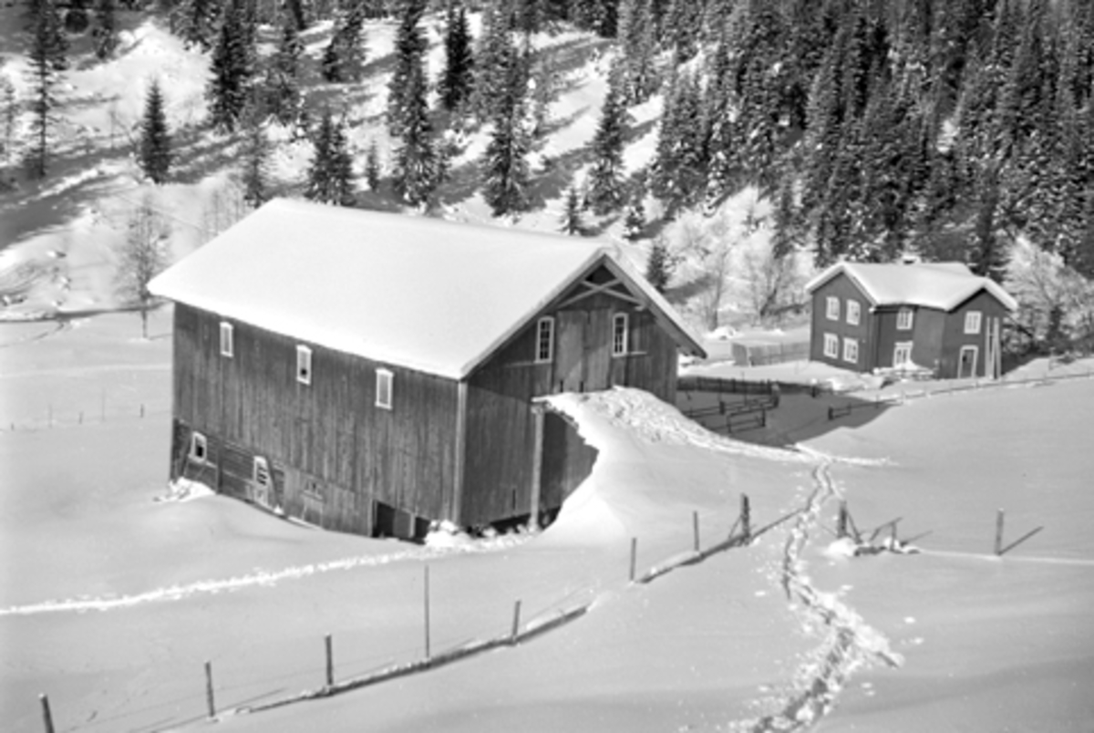 Toralv Bleken-Nilssen, TUN, SANDBAKKEN, FURNES i Ringsaker, FB1. 164, GNR. 217-