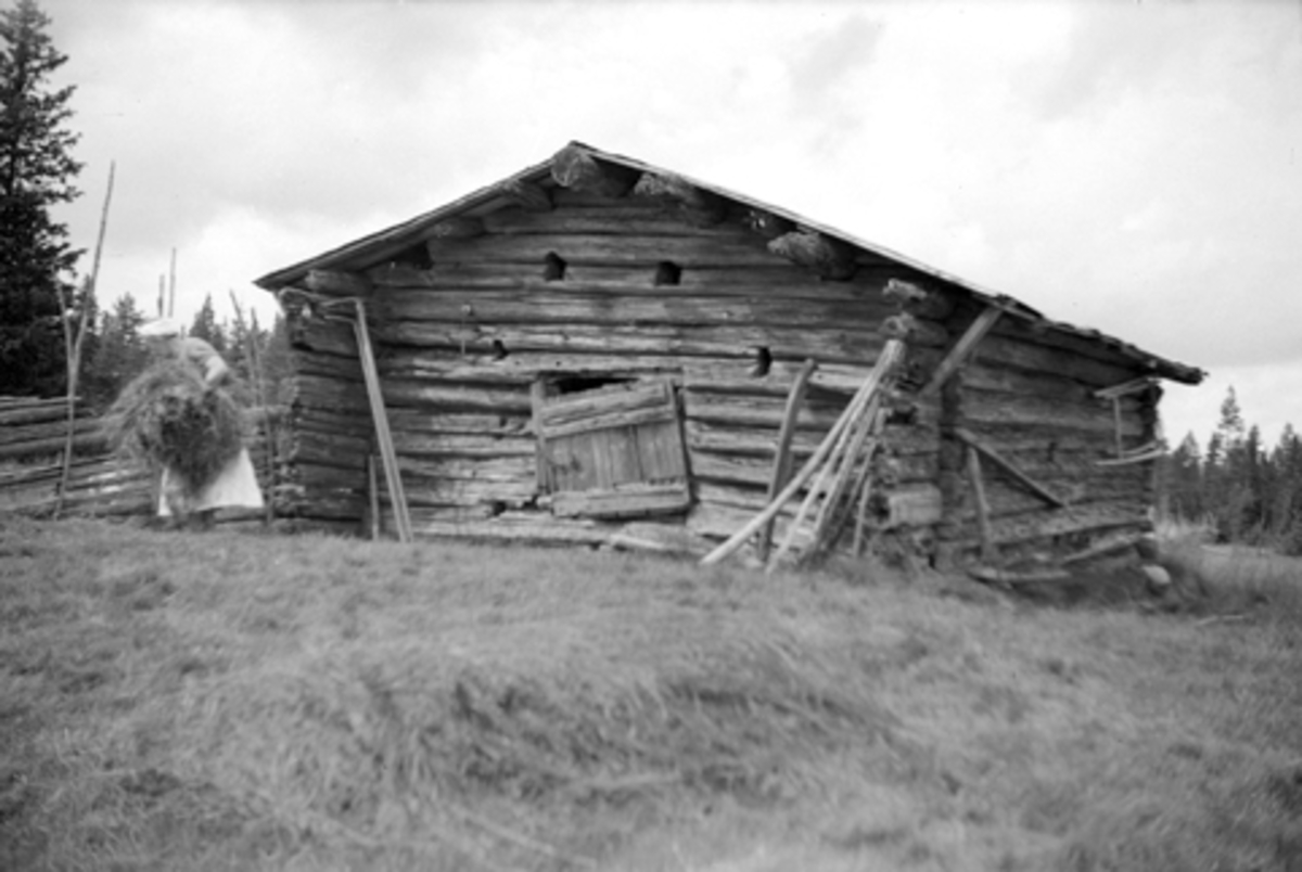 Toralv Bleken-Nilssen, ØYSETRA, NORDERHAUGLØA, LØTEN ALLM. , 1946.