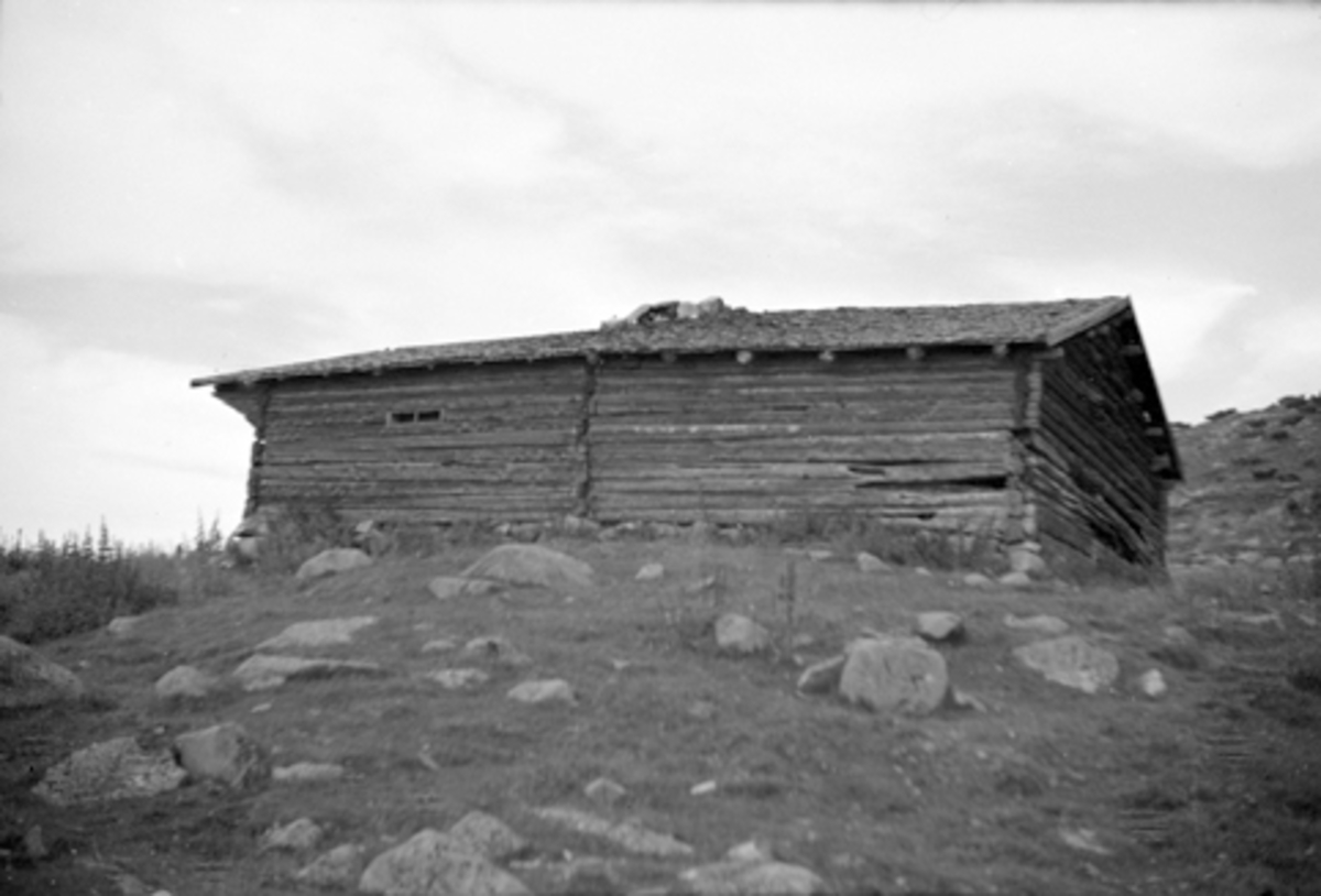 Anno Domkirkeodden, SNULTRA, SETERFJØS, FUGLSENGSTØRHUSET, Fåberg i Lillehammer kommune. 1946.