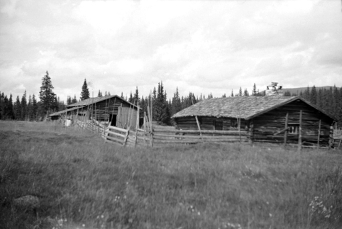 Toralv Bleken-Nilssen, ØYSETRA, NORSENGHUSA (opprinnelig Kjelds-Rudstad), LØTEN ALLM. 1946. Seter.
