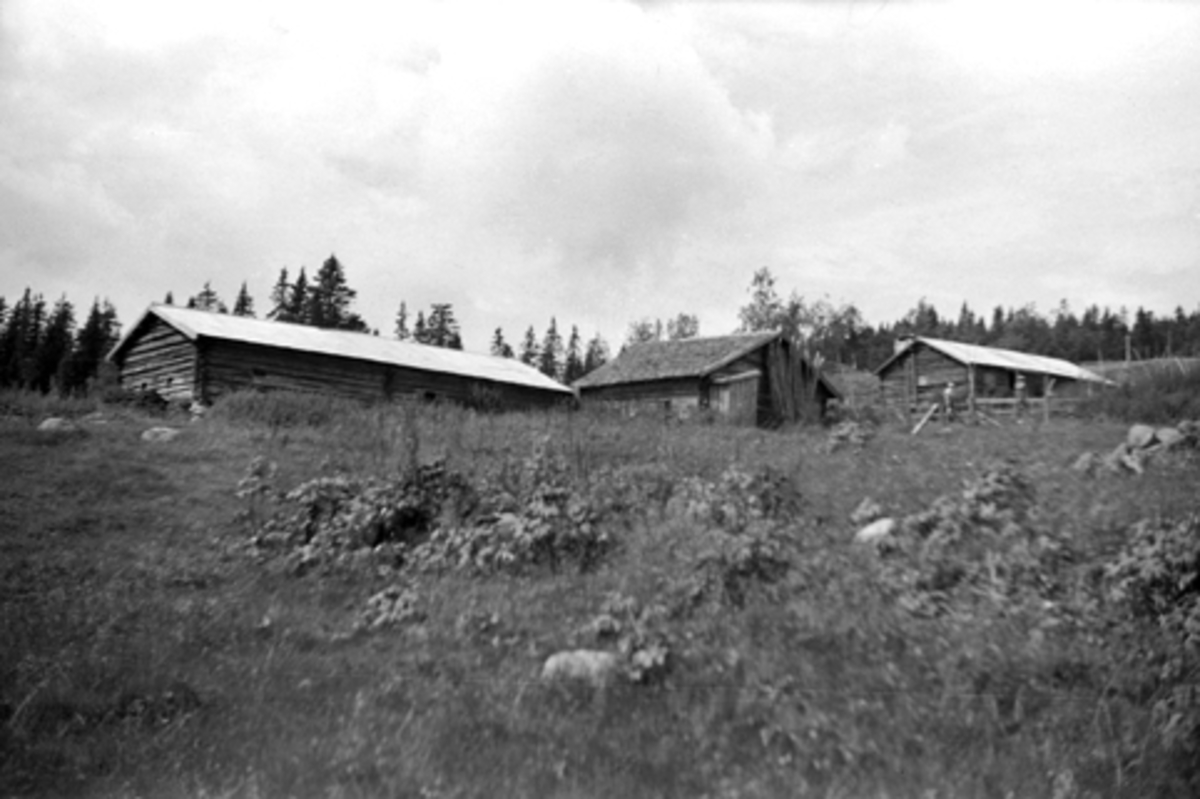 Toralv Bleken-Nilssen, GITVOLA, SETER, STOR-RØMMA, Løten alm. 1946.