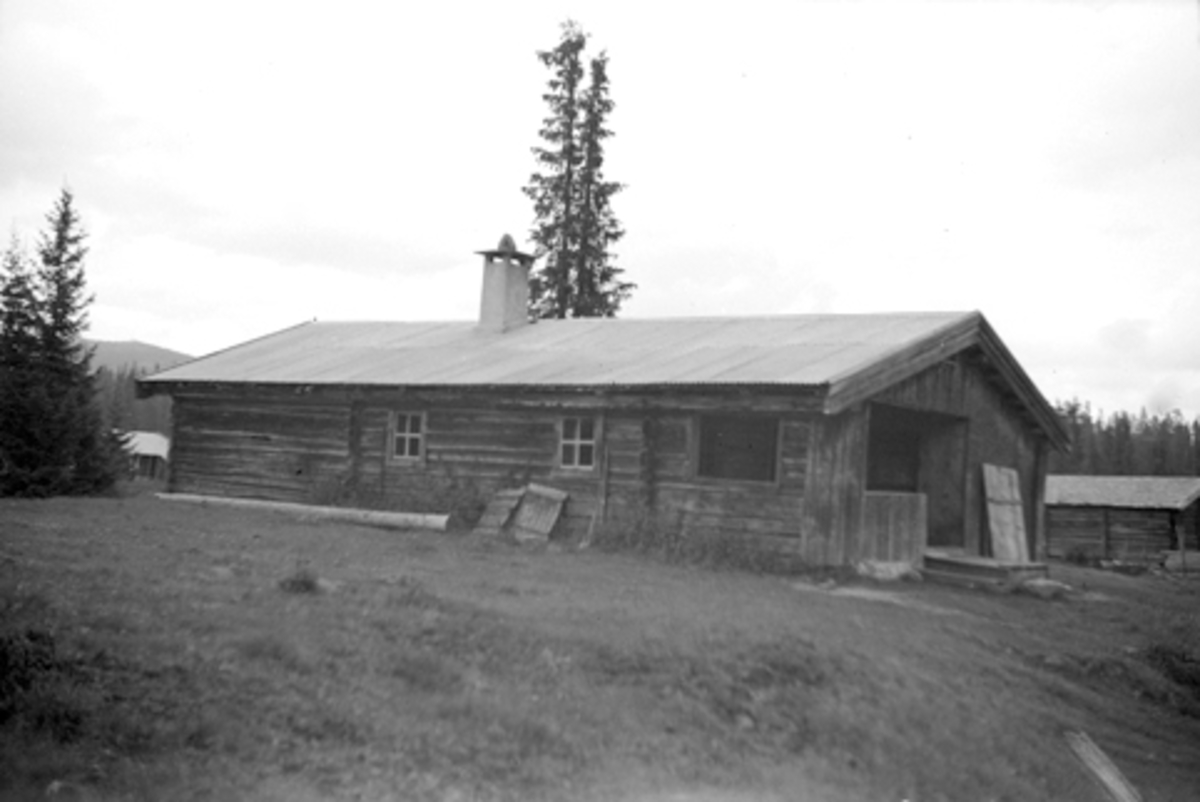 Toralv Bleken-Nilssen, ØYSETRA, TOFSRUDSTØRHUSET, LØTEN ALLM. , 1946.