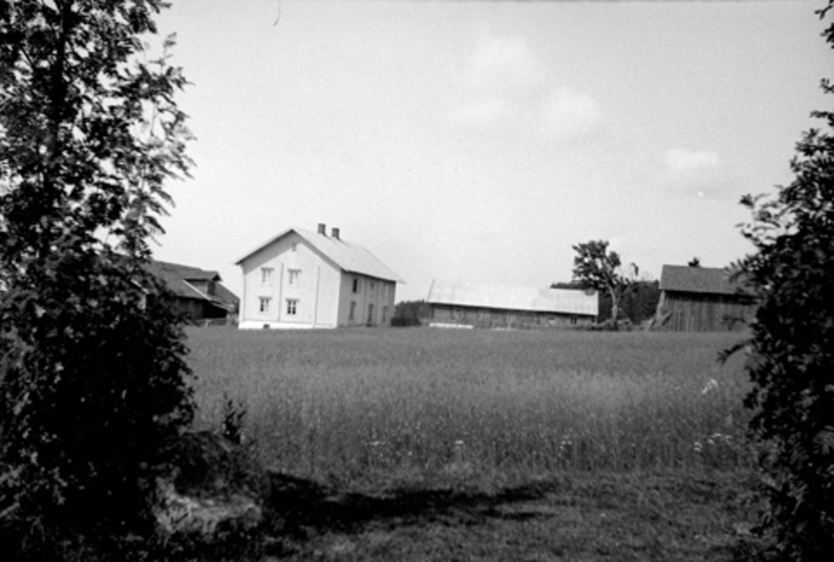 Anno Domkirkeodden, MARKESTAD, VANG i Hamar. GNR. 44