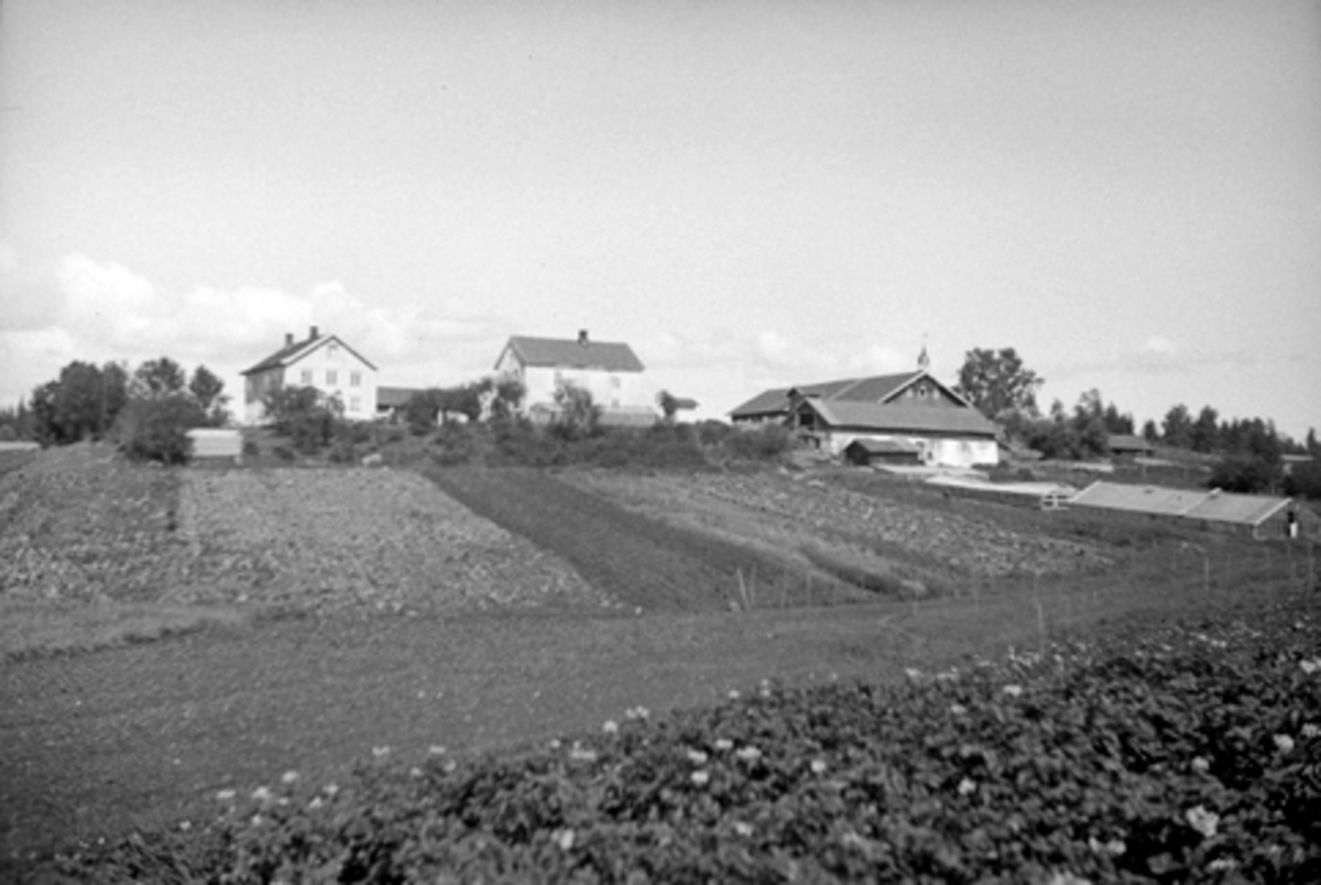 Anno Domkirkeodden, HUBRED LILLE, VANG i Hamar, GNR. 16.