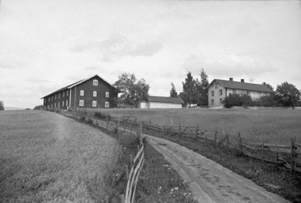 Anno Domkirkeodden, UKJENT GARD, VANG i Hamar.
