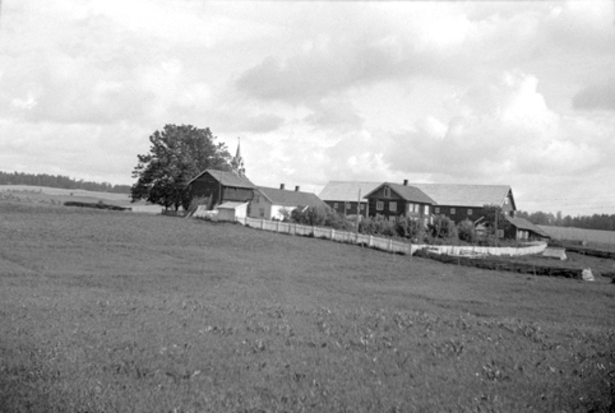 Anno Domkirkeodden, INGVOLDSTAD STORE, GARD I VANG, Hamar. GNR. 172-
