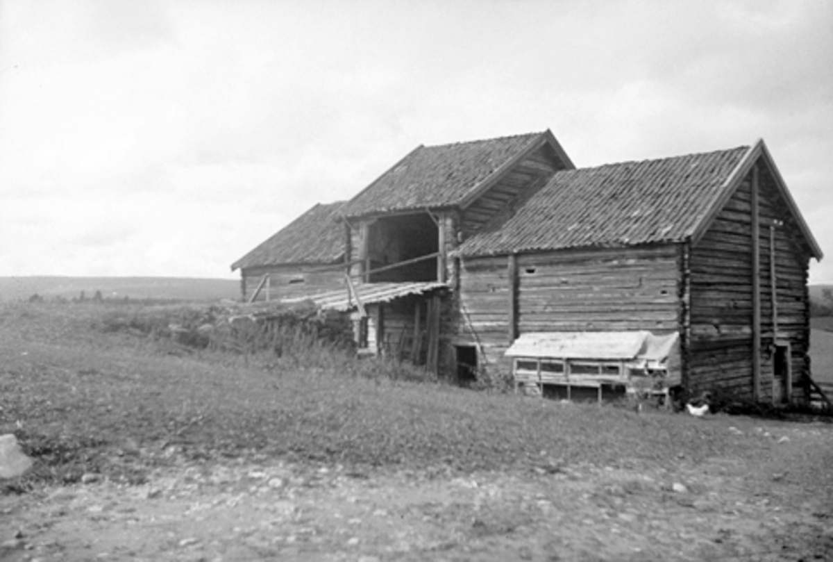 Anno Domkirkeodden, ALDERSLYST GARD I VANG, Hamar, STALLÅVE,