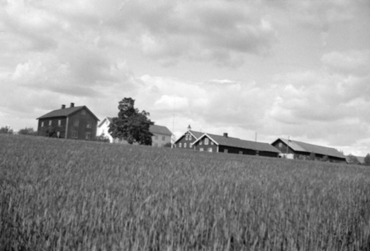 Anno Domkirkeodden, TOMTER GARD I VANG i Hamar kommune, GNR. 60-