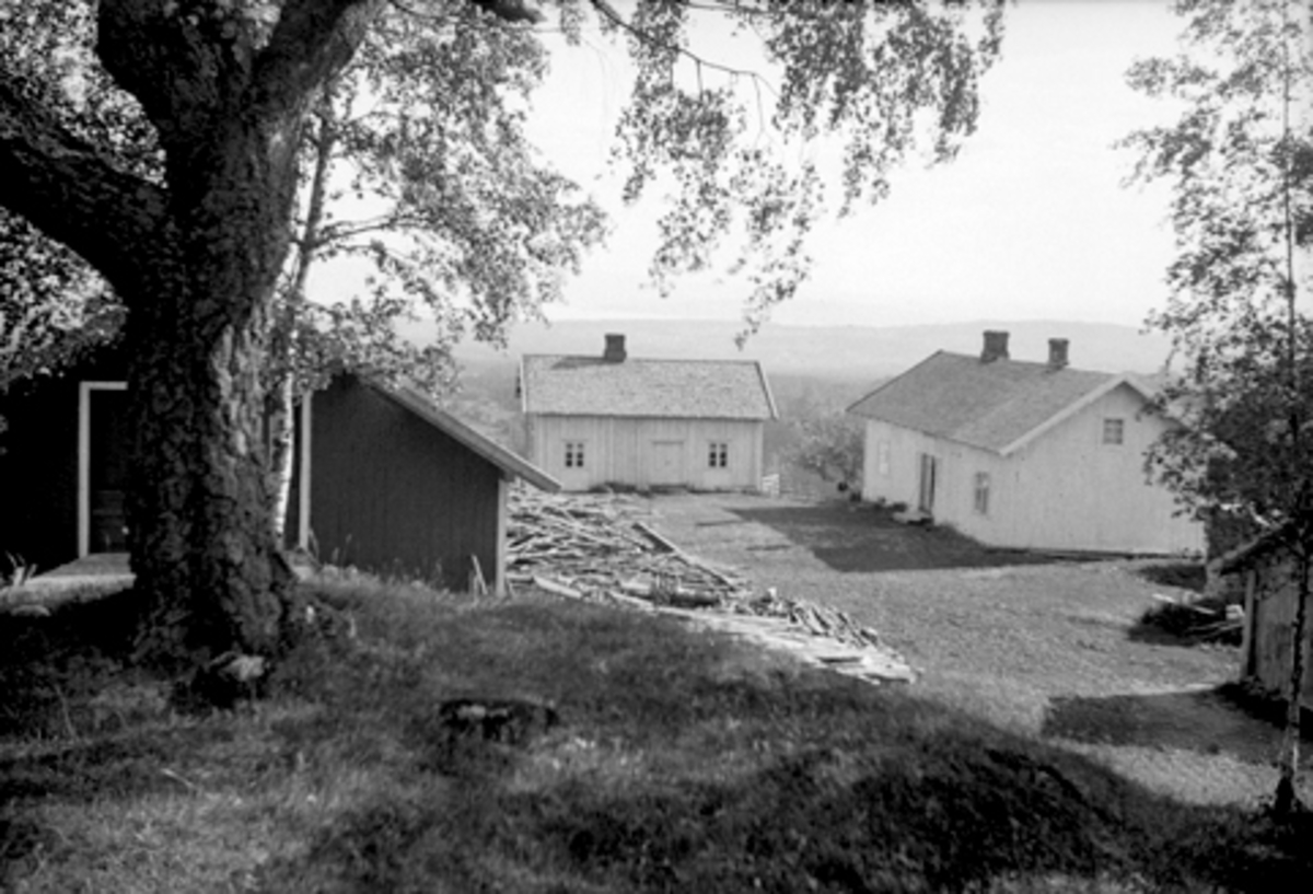 Anno Domkirkeodden, LIER GARD I VANG, Hamar kommune, GNR. 38-1