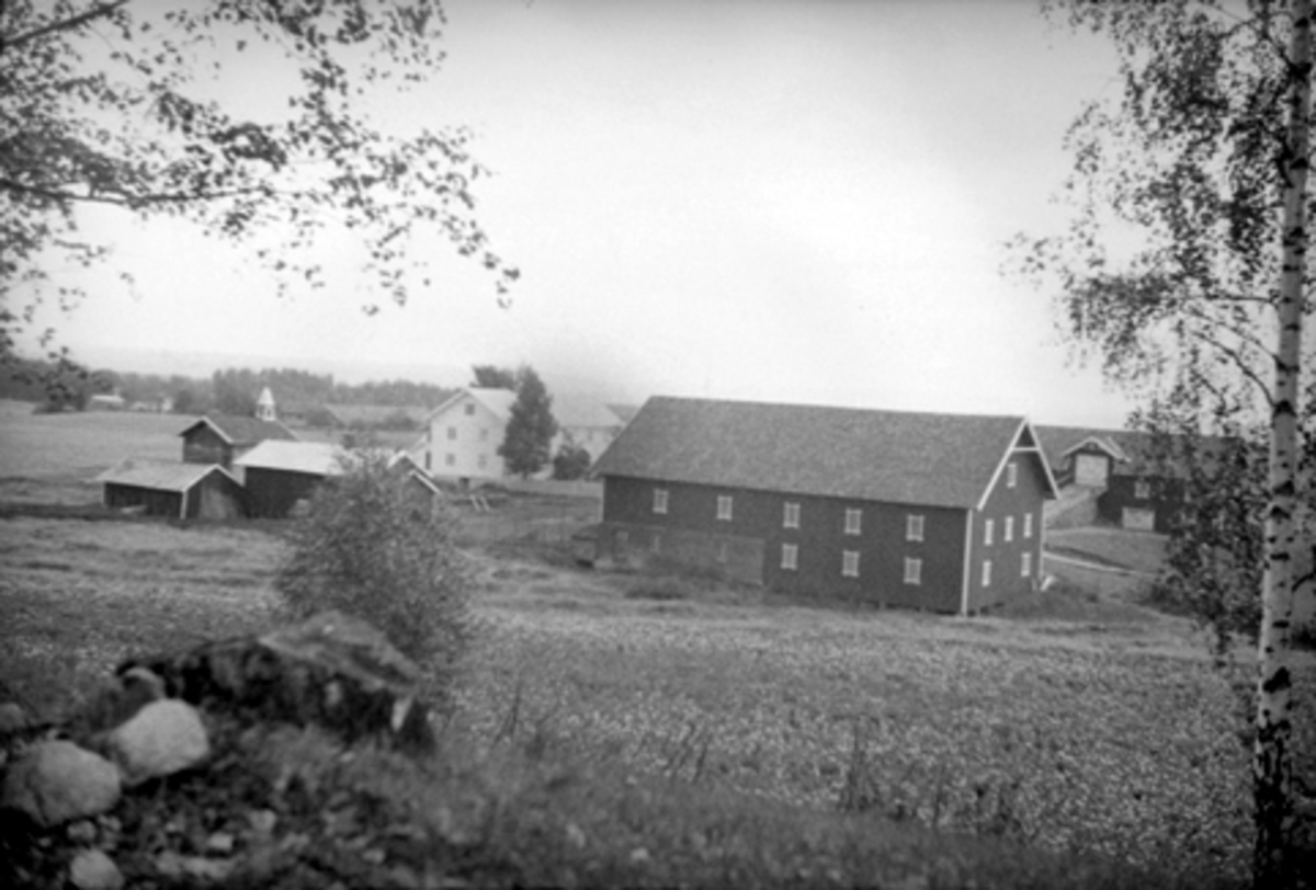 Anno Domkirkeodden, UKJENT GARD I VANG, Hamar kommune.