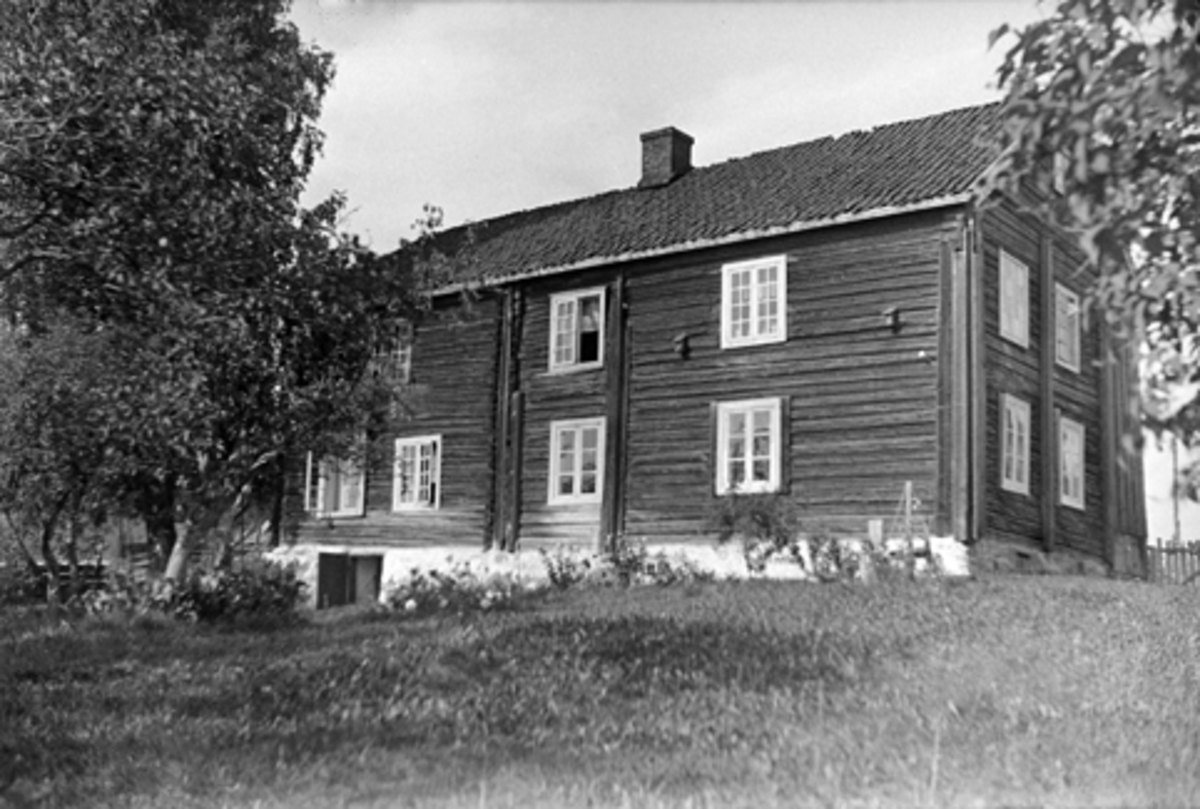 Anno Domkirkeodden, VIEN GARD I VANG H, TØMMERBYGNING, 5-