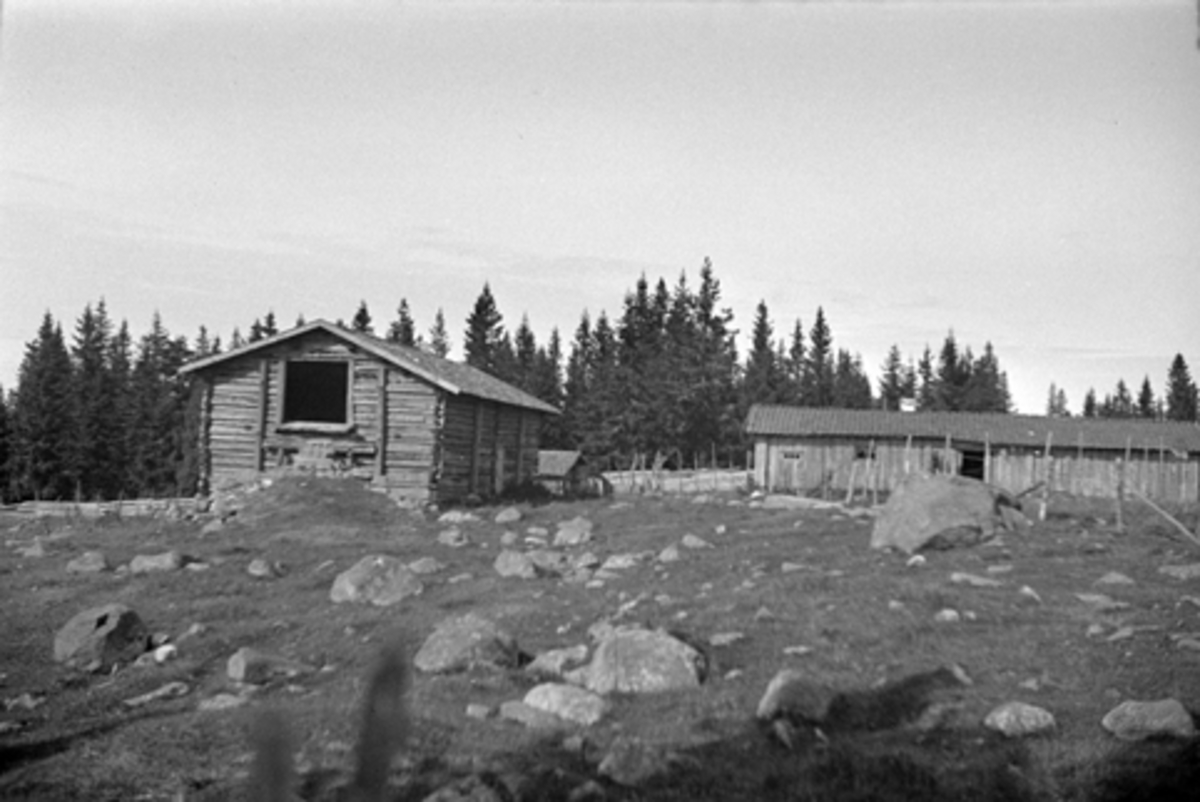 Anno Domkirkeodden, TOMMELSTAD SETRA, RUSKÅSEN I FURNES ALMENNING, Ringsaker.