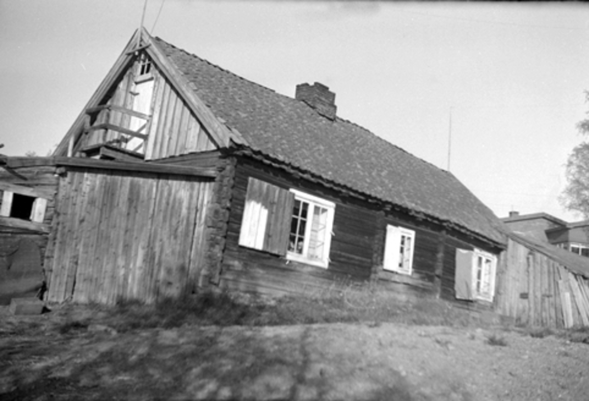 Anno Domkirkeodden, DOK-03494-01